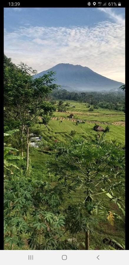 Villa Lumbung Ayu Sari & Spa Karangasem Zewnętrze zdjęcie